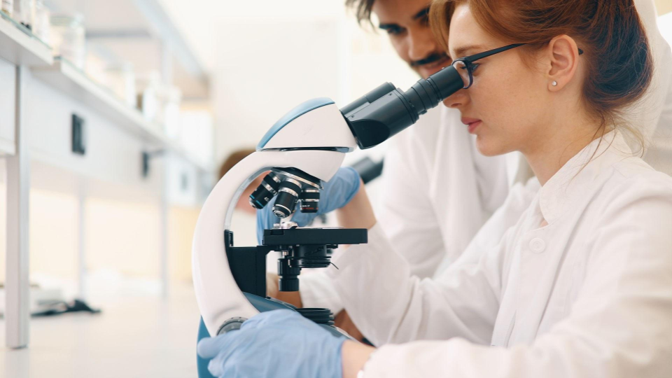 Healthcare professionals collaborating with AI technology